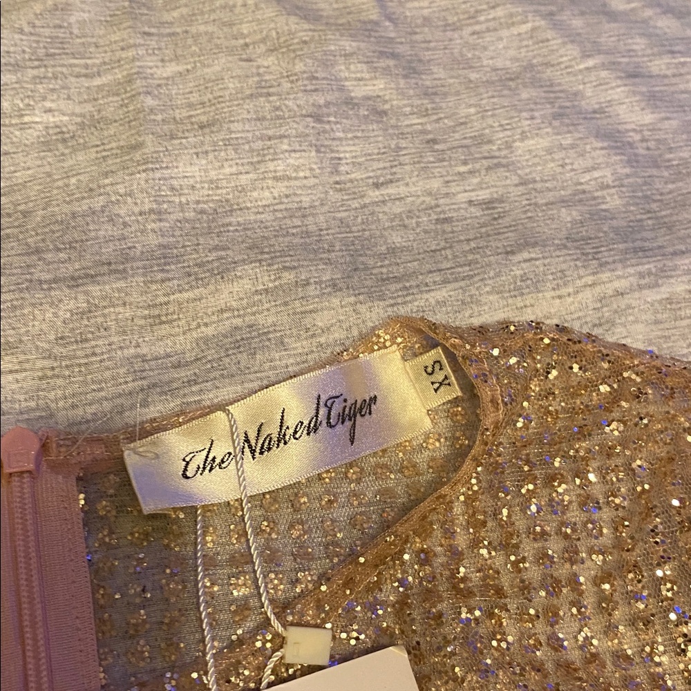 The Naked Tiger IGGY DRESS Long Sleeve Sheer Sz XS Light Pink NWT - Picture 2 of 14